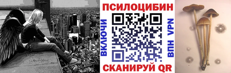 Галлюциногенные грибы прущие грибы  купить  сайты  Владимир 